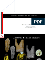 Httpsod - Odontologia.uba - Aruacadendodonciadocs2017presentacion14 3.PDF 2