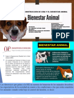 Contruccion Bienestar Animal