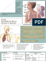 Vias Respiratorias Altas y Bajas