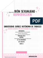 Patron Sexualidad - Reproduccion - 20240421 - 225726 - 0000