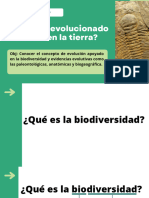 Evolución (3)_1