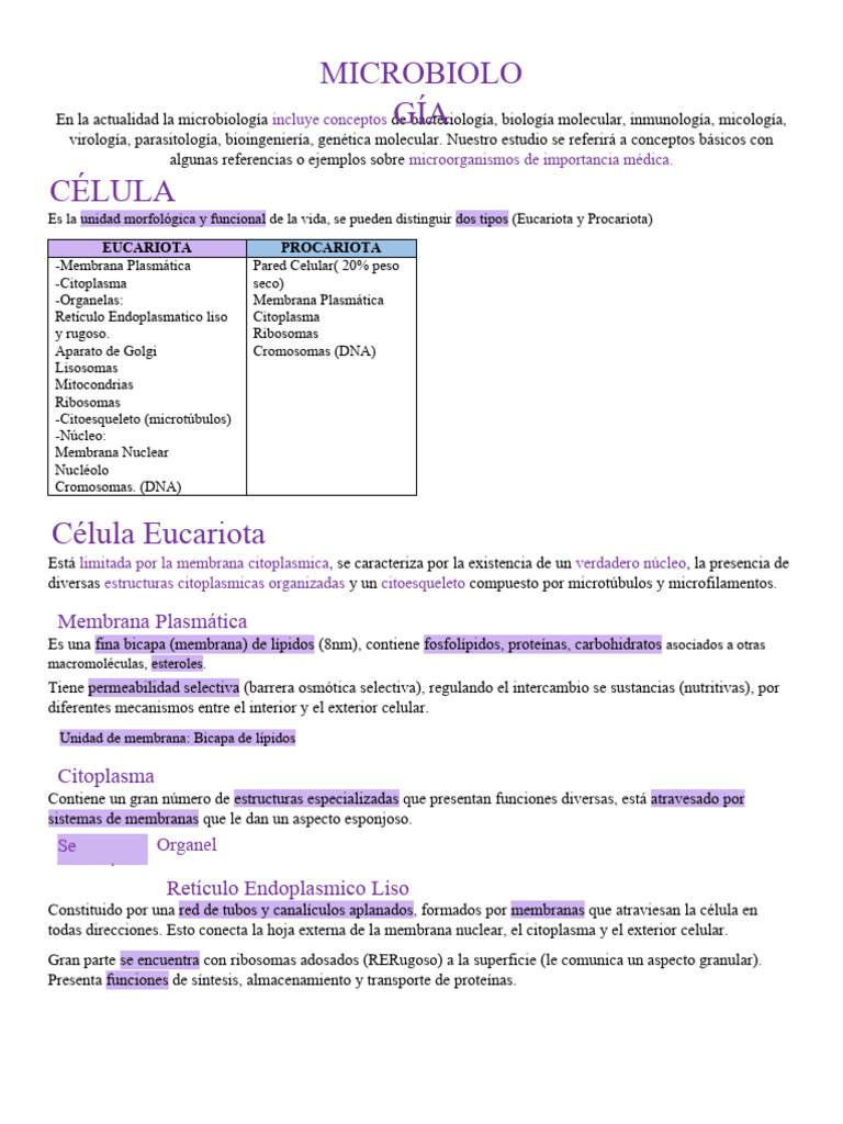 Estructura de Células Eucariotas y Procariotas | PDF | Citoplasma | Las ...