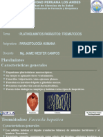 Tremátodos Parásitos Fasciola Hepatica