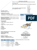 Dentição Zootecnia (João Gabriel) - 240417 - 185210