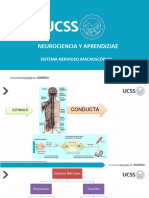 ESTUDIO MACROSCOPICO DEL SISTEMA NERVIOSO