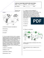 Avaliação FILOS CNIDÁRIOS E PLATELMINTOS