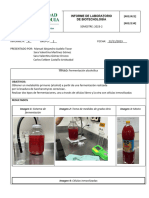 Fermentación Alcohólica