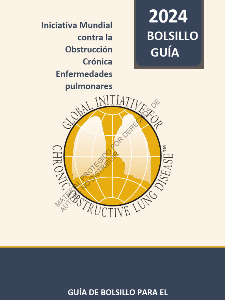 Pocket Guide Gold 2024 Ver 1.2 11jan2024 WMV Es Descargar gratis PDF