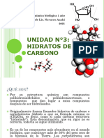 UNIDAD N°3 Hidratos de Carbono Presentacion