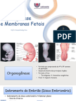 Aula - 03 - Organogênese - e - Membranas Fetais