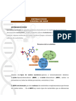 Lab 12 Extraccion Casera de ADN