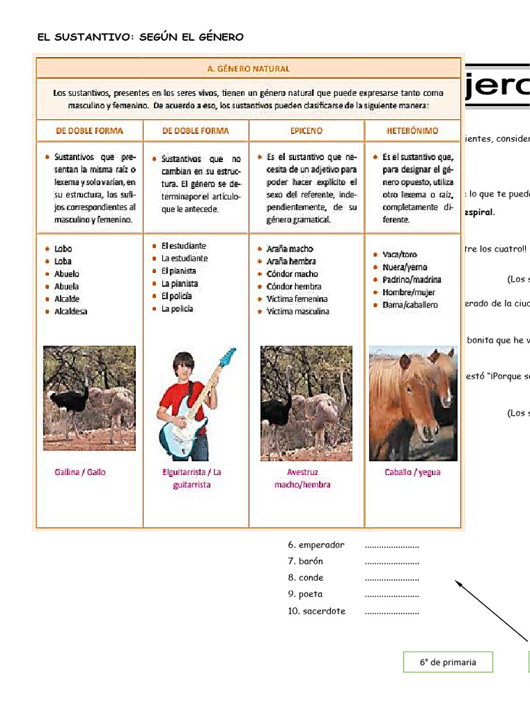Fichas para Clases Teoria y Actividades | PDF | Fonética | Voz humana