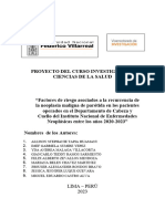 Proyecto de Investigación UNFV