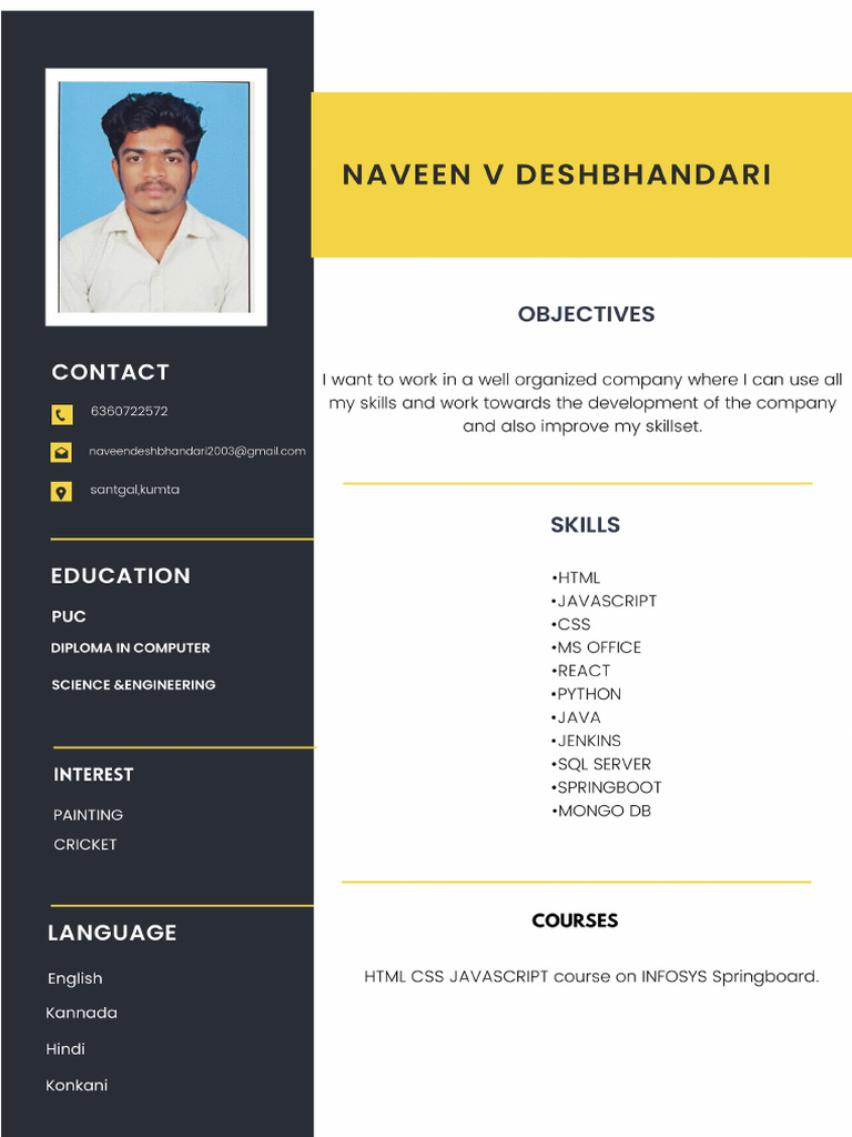 Professional Modern CV Resume | PDF