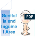 MALE Genitalia