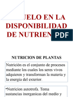 NUTRICION 2019 EL SUELO EN LA DISPONIBILIDAD DE NUTRIENTES (Autoguardado)