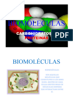 Biomoleculasdiapositivas 130711161202 Phpapp02