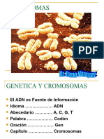 Clase 3 Cromosomas