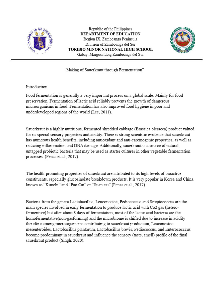 Sauerkraut Lab Report Docs PDF Lactobacillus Fermentation