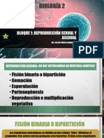 B1 Biología 2