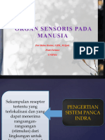 12. organ_sensoris_manusia