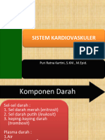 6. Sistem kardiovaskuler