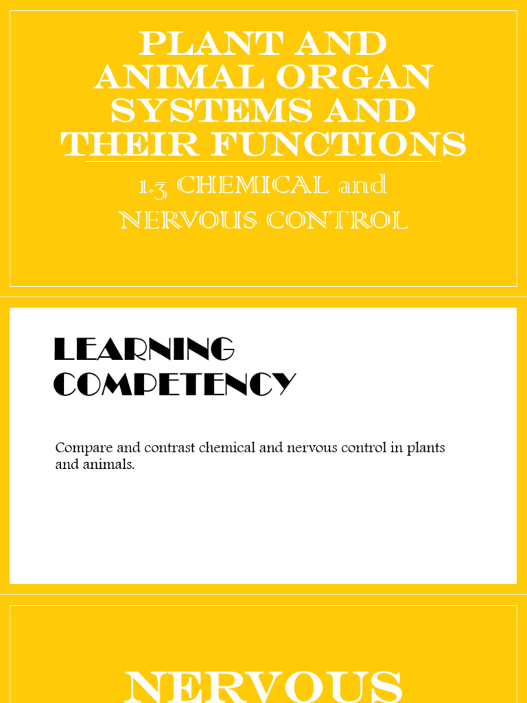 Plant and Animal Control Systems Explained | PDF | Plant Hormone ...