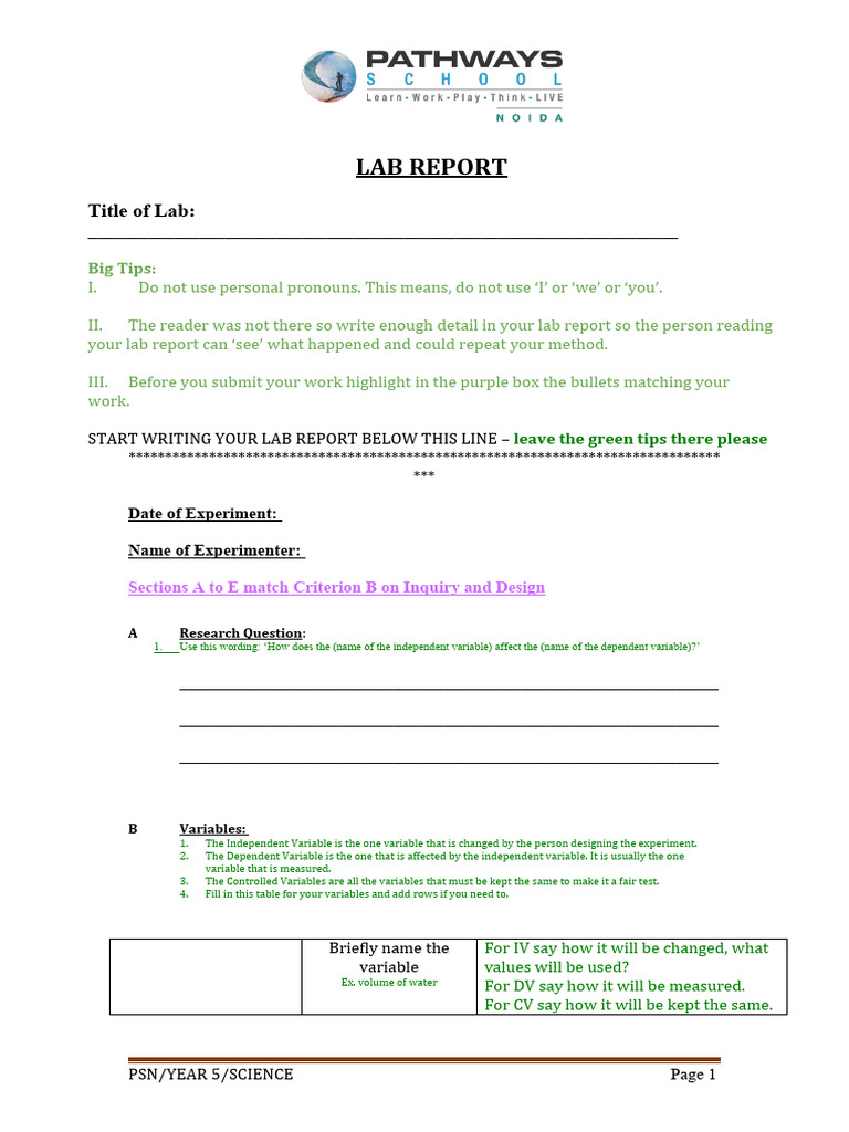 Criteria B&C LAB FORMAT (For Writing, With Green Tips) - 3 | PDF | Data ...