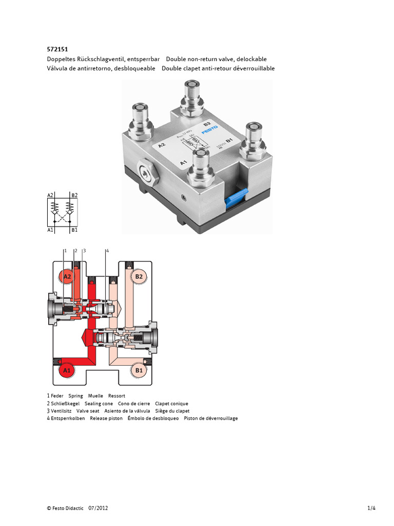 Deenesfr v2.0 Double Non-Return Valve Delockable | PDF