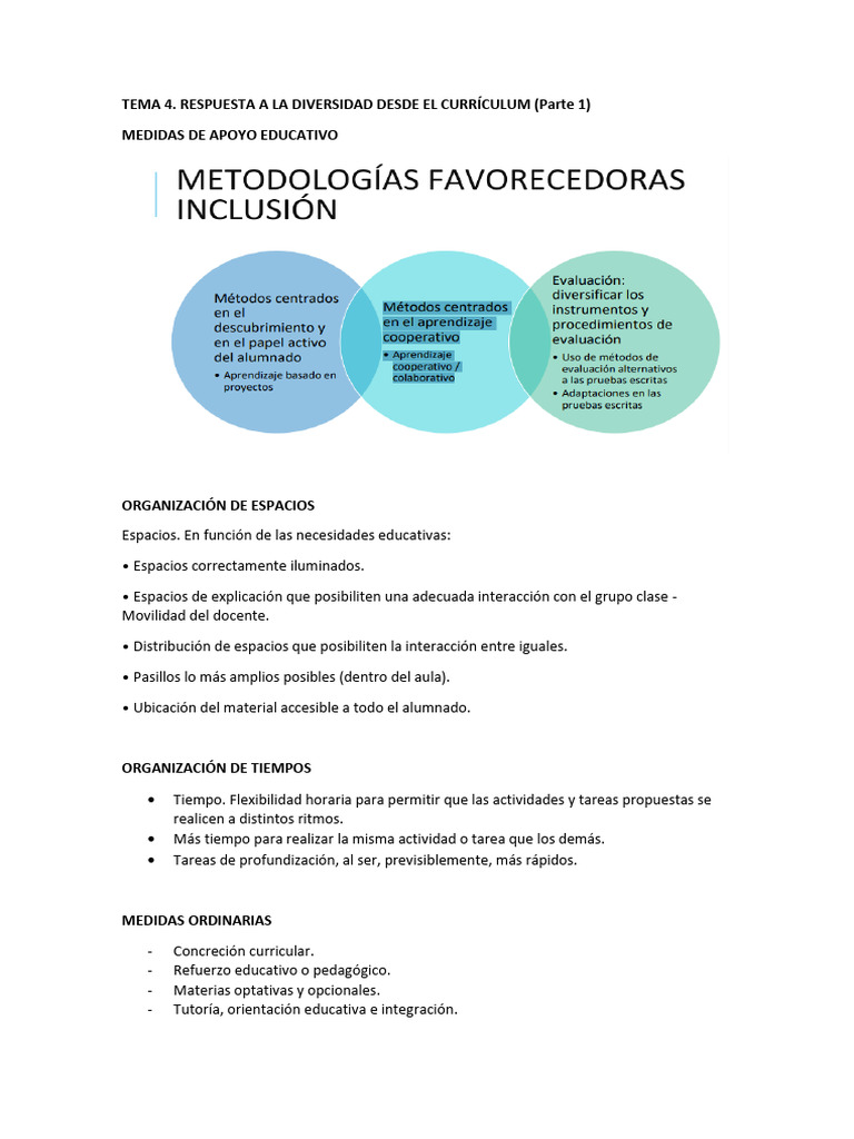 Medidas de Apoyo Educativo Inclusivas | PDF | Plan de estudios ...