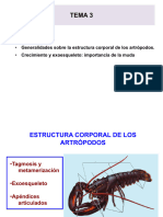 T3 A T5. ENTOMOLOGÍA