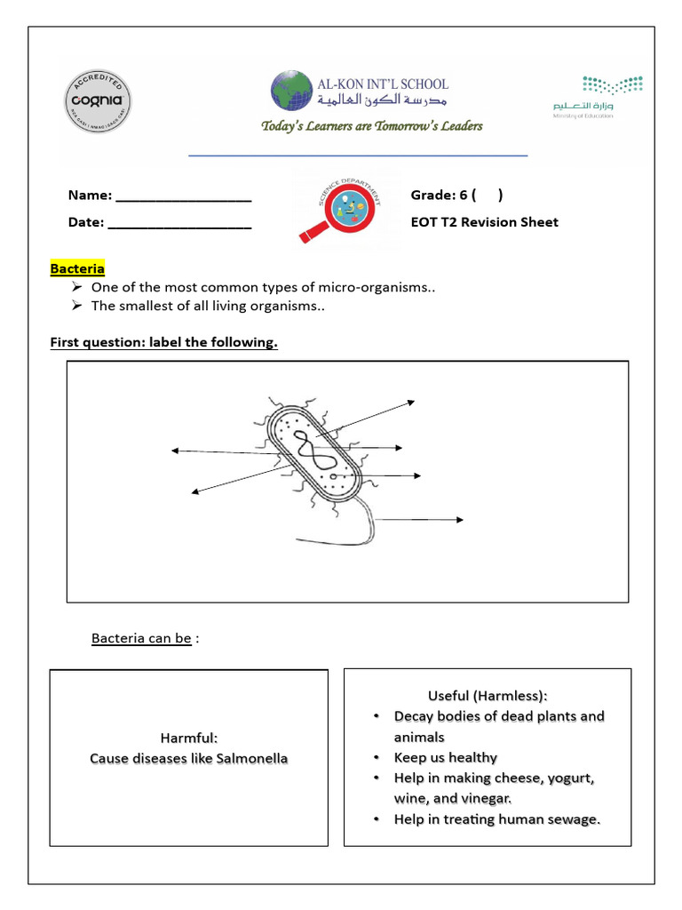 0 104345 Eott2revisionsheetgrade6 | PDF | Microorganism | Bacteria