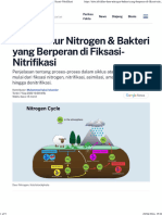 Siklus Nitrogen (Tirto.id)