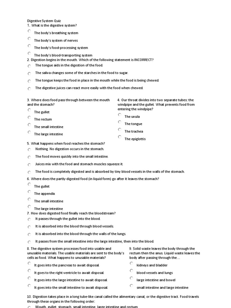 Digestive System Quiz Overview | PDF | Gastrointestinal Tract | Digestion
