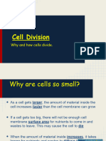 05 - Cell Cycle and Cell Division