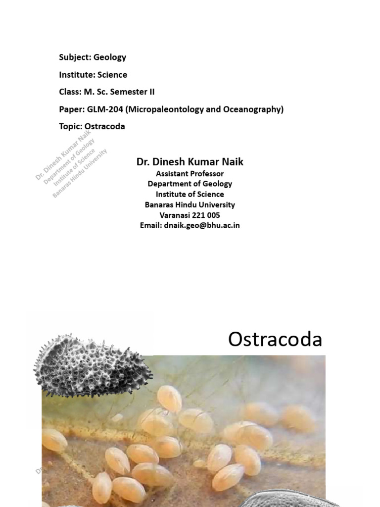 Overview of Ostracoda Morphology | PDF | Crustacean