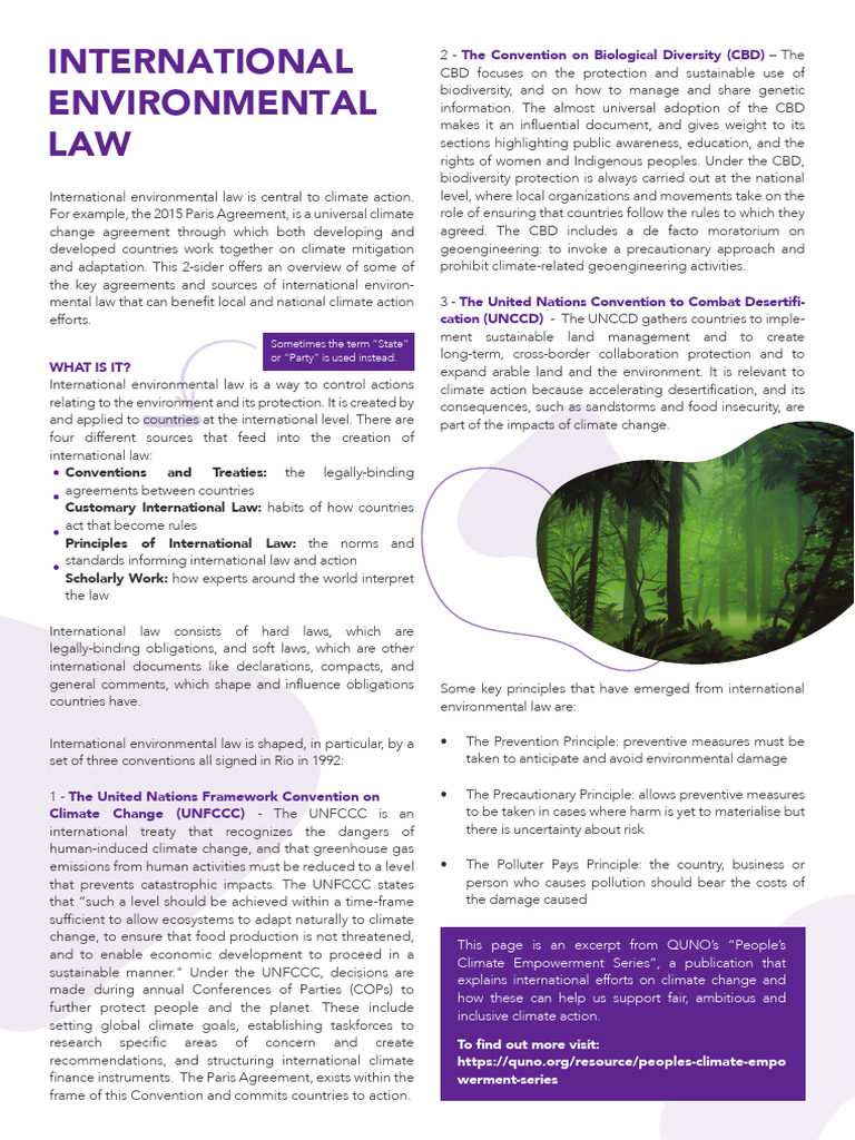 International Environmental Law | PDF | United Nations Framework ...