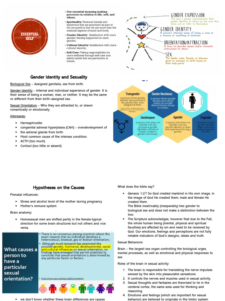 UTS anxiety notes PDF Luteinizing Hormone Identity (Social Science)
