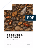 Rodents and Roaches - The F&B Nightmare