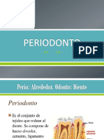 Periodonto de Inserción