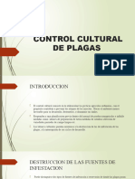 Cuntrol Cultural de las malezas en el cultivo de citrico 