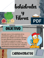 Carbohidratos y Fibras