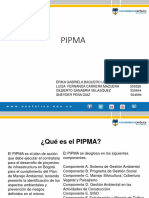 Presentacion Pipma Original