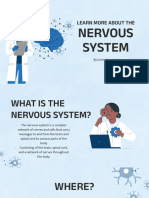 copy of learn more about the nervous system by slidesgo