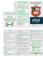 Folleto Siee Institucional 2024