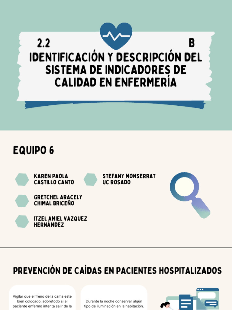 Indicadores de Calidad en Enfermeria | PDF | Enfermería | Piel