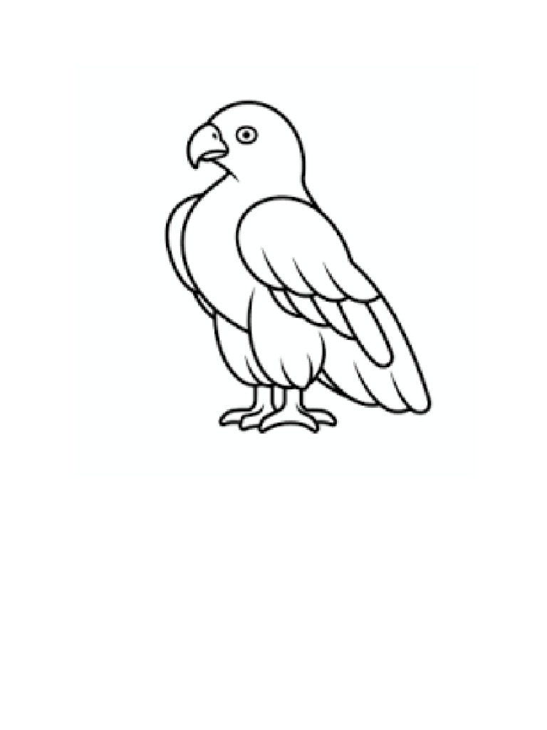 Alcon pdf