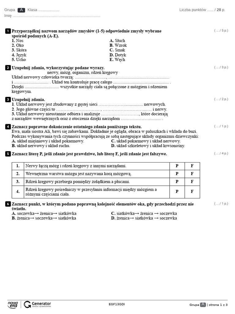 Układ Nerwowy Test Klasa 7 Układ Nerwowy Kontroluje Pracę Organizmu Test Z Widoczną Punktacją | PDF