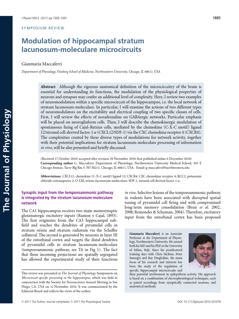 Hippocampal Microcircuit Modulation | PDF | Inhibitory Postsynaptic ...