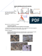 Processos Mineralitzants Ignis